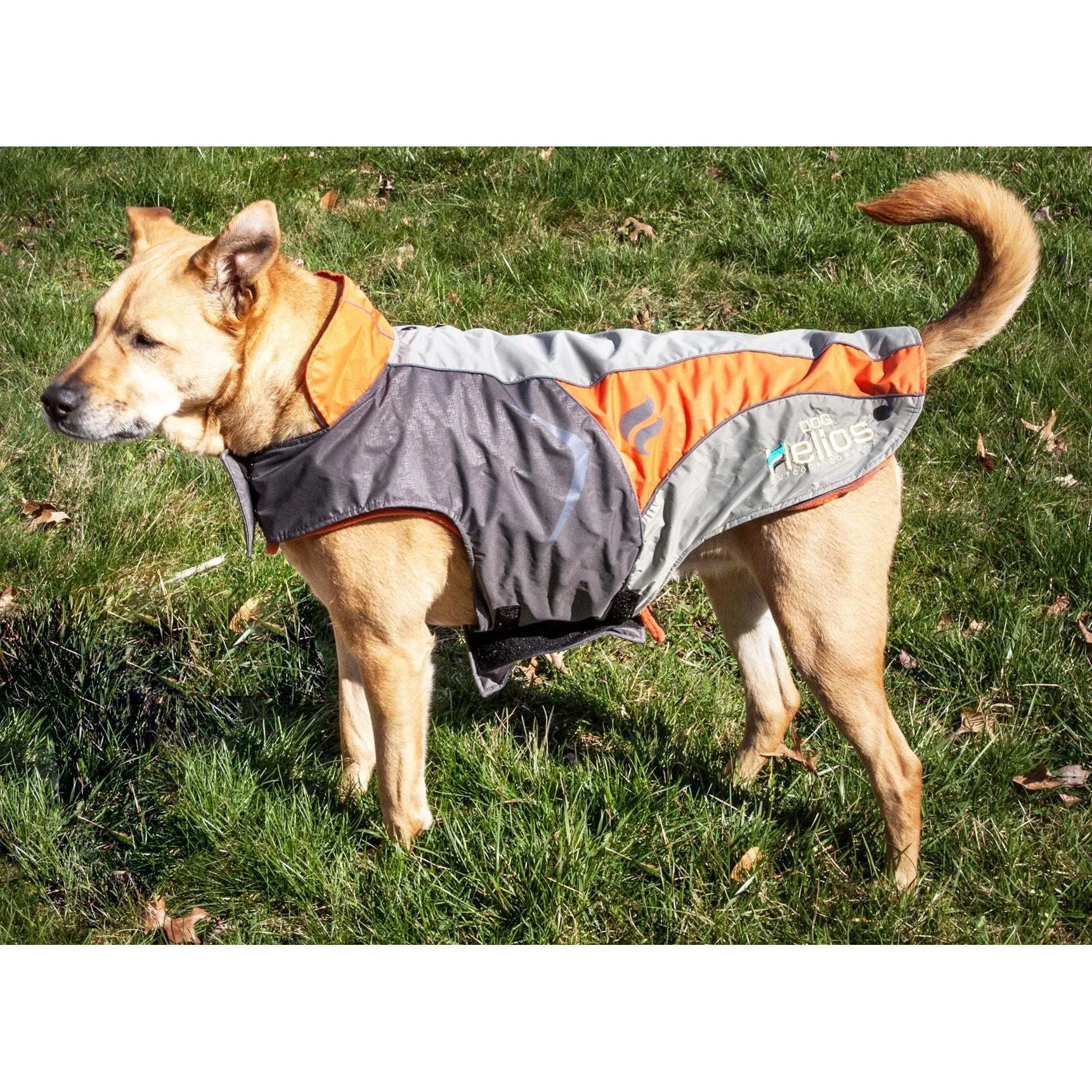 Waterproof 2-in-1 Dog Jacket