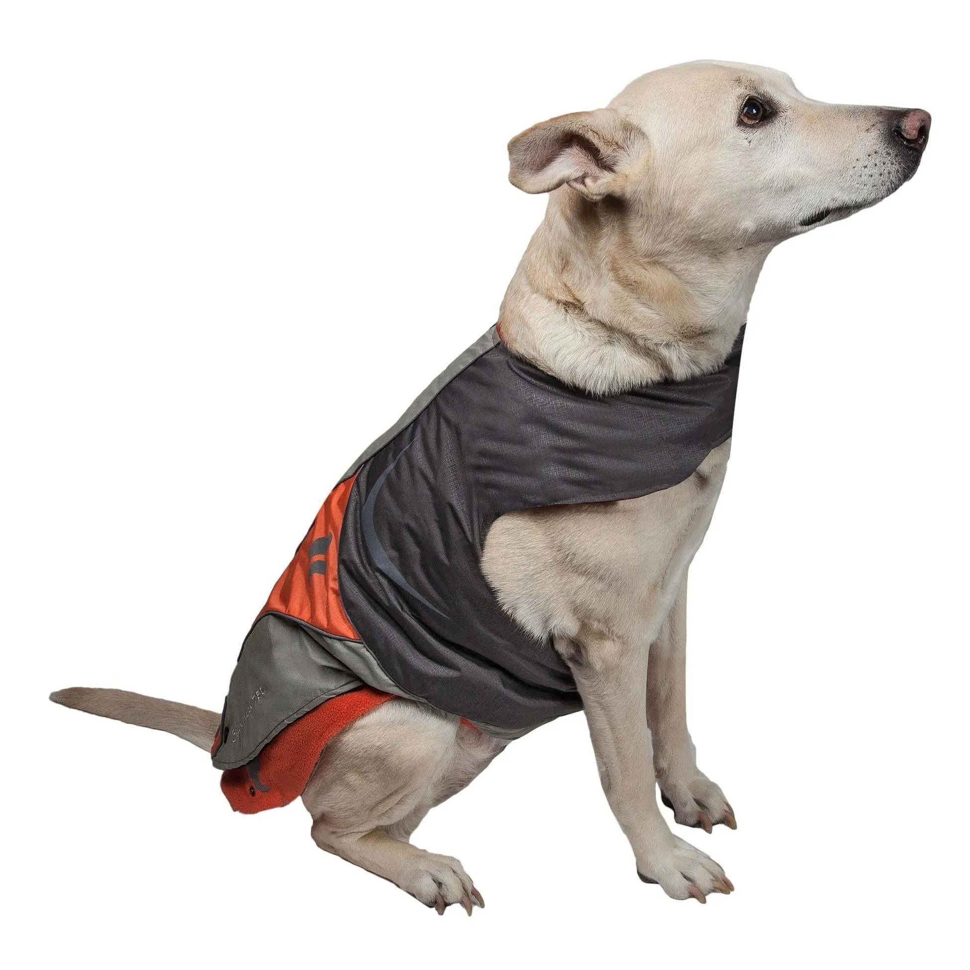 Waterproof 2-in-1 Dog Jacket